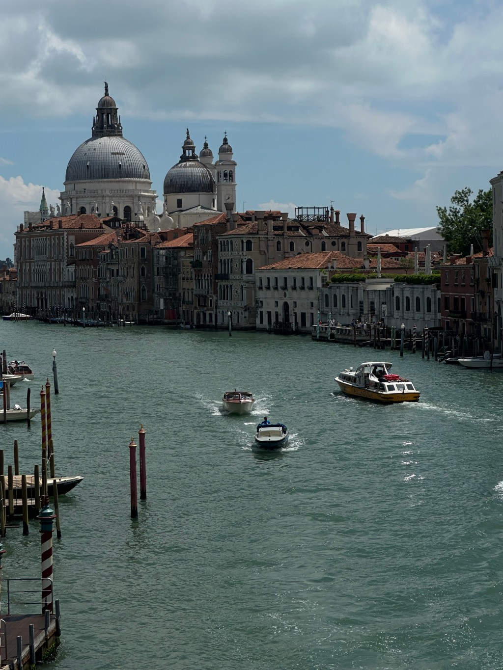 Romping Around Venice