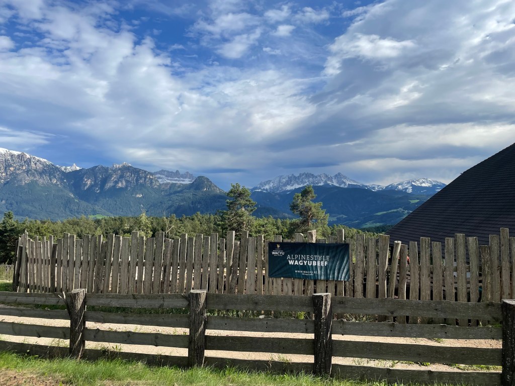 Bolzano AND THE TYROL- German or&nbsp;Italian?