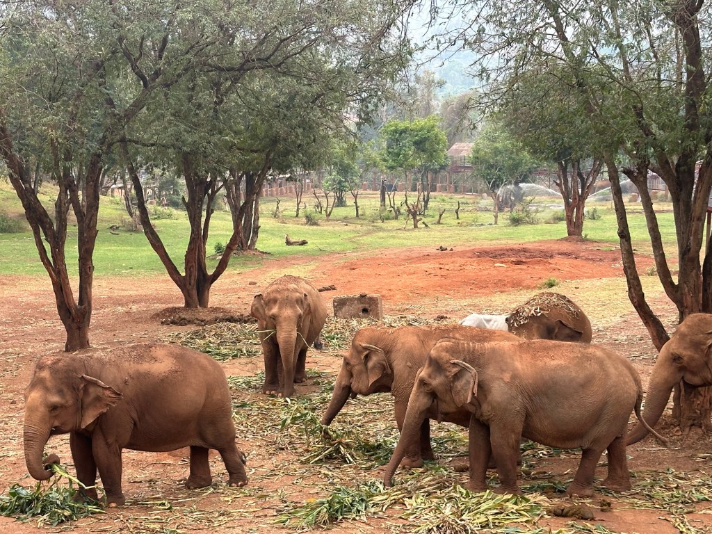 Exploring Chang Mai: A Photo&nbsp;Diary